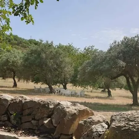 Üdülőközpont Regia Trazzera